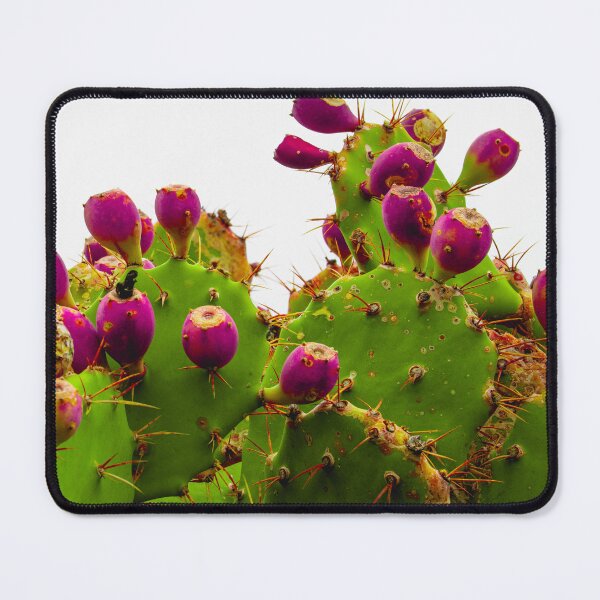 Item preview, Prickly pear cactus with vibrant purple fruits designed and sold by giulombardo.