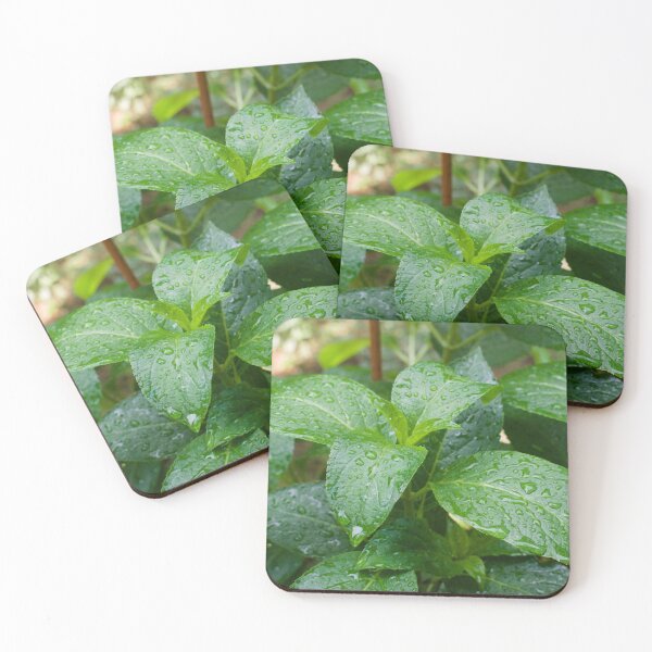 Item preview, Fresh Raindrops on Green Leaves designed and sold by mARTinCreator.