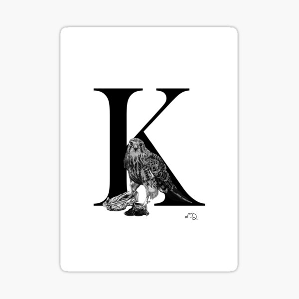 Vista previa del artículo con la obra «Cernícalo con impresión inicial de Ketchup K», diseñado y vendido por Souris75.