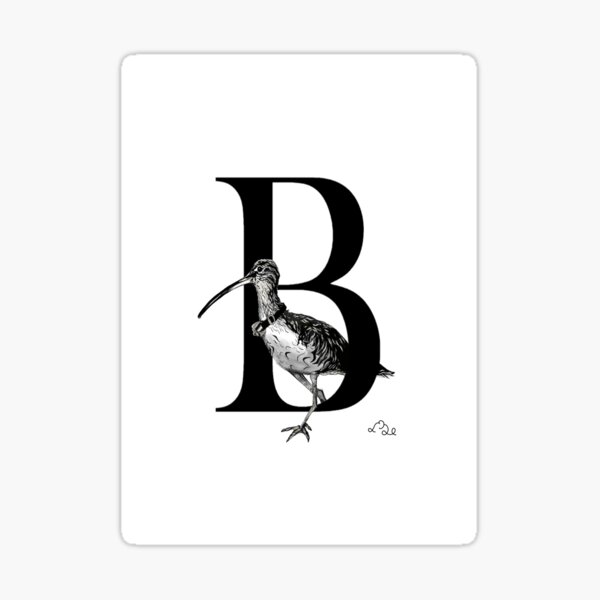 Item preview, Big Beaked Bird with a Bell B initial print designed and sold by Souris75.