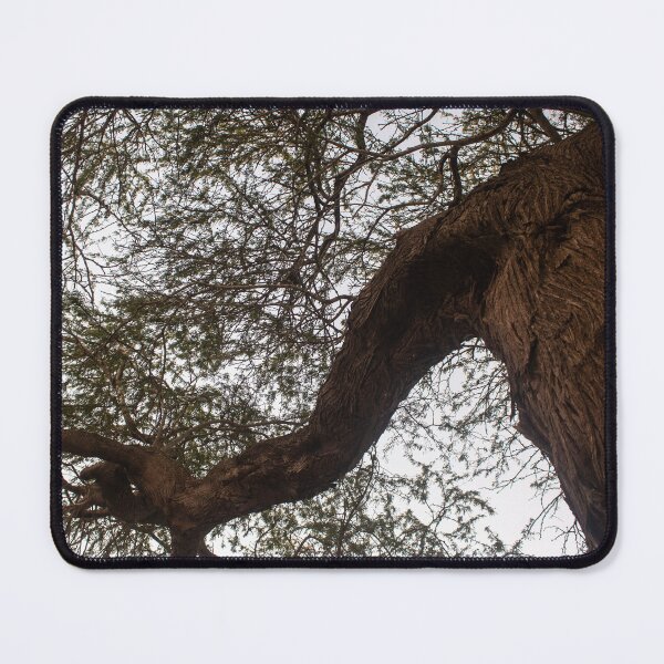 Item preview, colossal tree designed and sold by felipequeiroz.