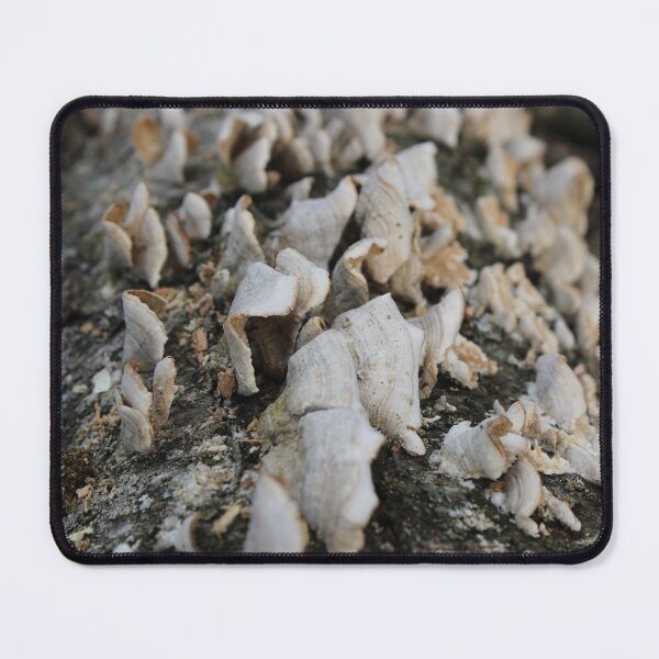 Item preview, Rotting mushrooms designed and sold by McFleur's Lens.