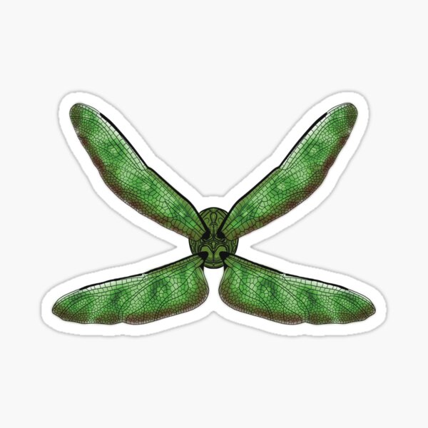 Dragonfly Dreams - Earth - Flight Ready Sticker