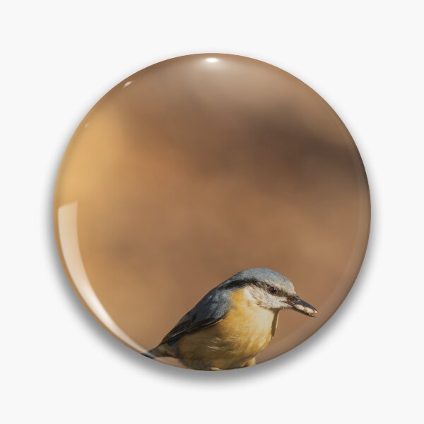 Item preview, Environmental portrait of a Eurasian Nuthatch designed and sold by RobThorley.
