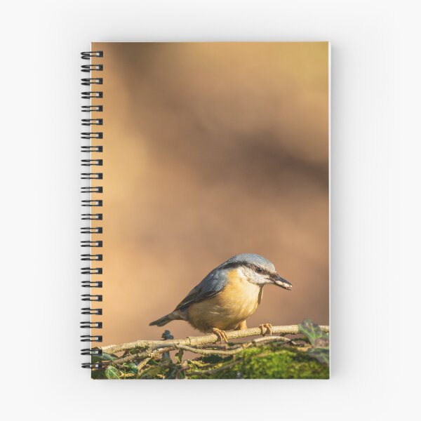 Item preview, Environmental portrait of a Eurasian Nuthatch designed and sold by RobThorley.