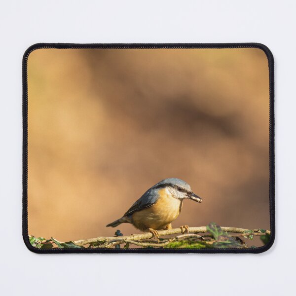 Item preview, Environmental portrait of a Eurasian Nuthatch designed and sold by RobThorley.