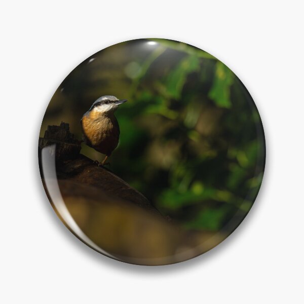 Item preview, Environmental portrait of a Eurasian Nuthatch designed and sold by RobThorley.