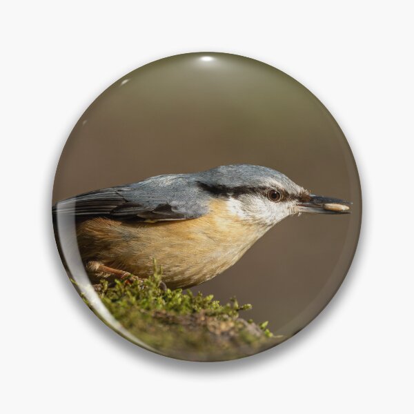 Item preview, Environmental portrait of a Eurasian Nuthatch designed and sold by RobThorley.