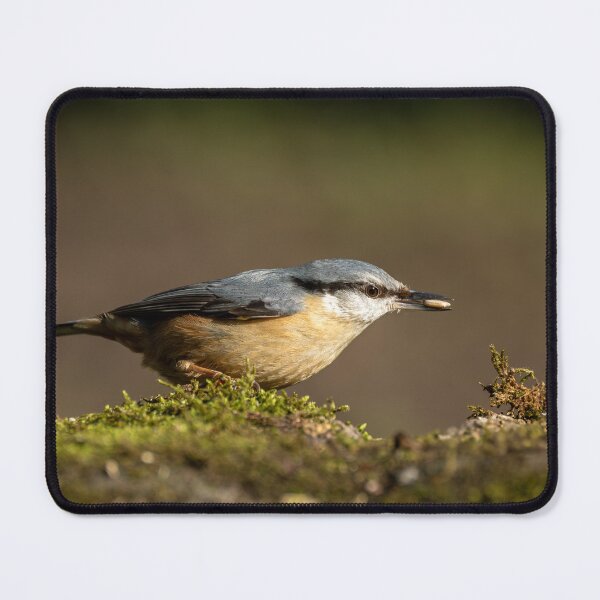 Item preview, Environmental portrait of a Eurasian Nuthatch designed and sold by RobThorley.