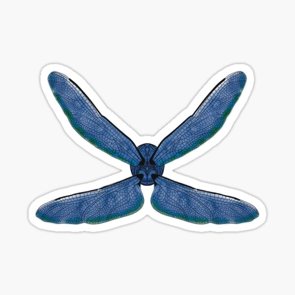 Dragonfly Dreams - Sea - Flight Ready Sticker