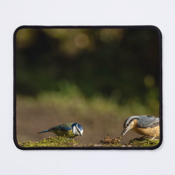 Item preview, Environmental portrait Blue Tit and Eurasian Nuthatch designed and sold by RobThorley.