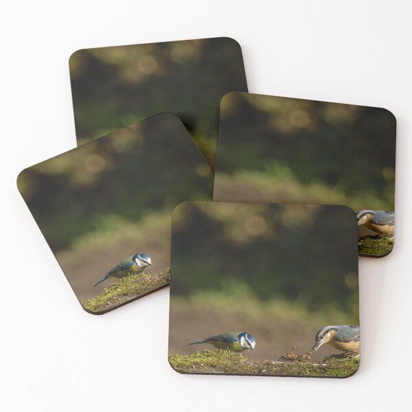Item preview, Environmental portrait Blue Tit and Eurasian Nuthatch designed and sold by RobThorley.