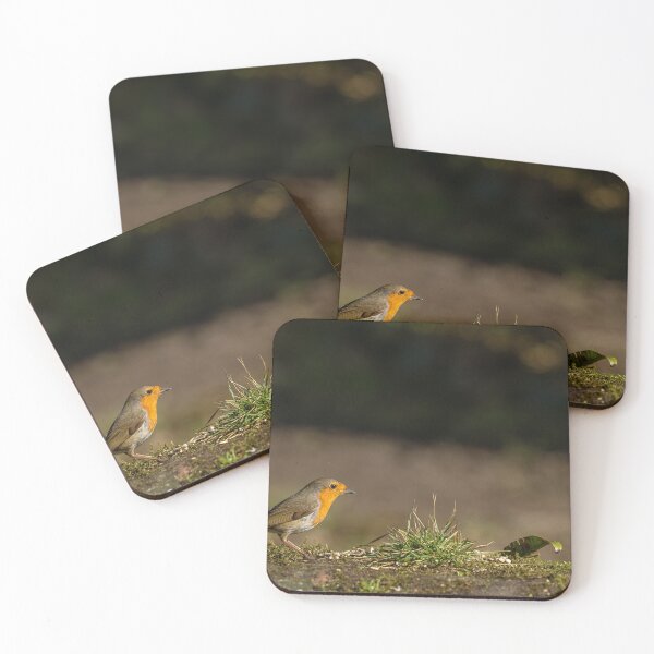 Item preview, Environmental portrait of a European Robin, Erithacus rubecula designed and sold by RobThorley.