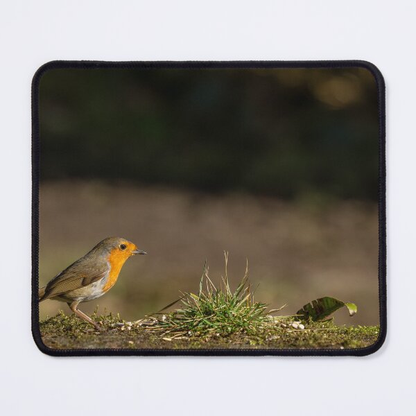 Item preview, Environmental portrait of a European Robin, Erithacus rubecula designed and sold by RobThorley.