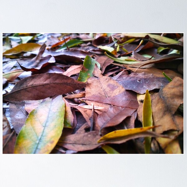 Item preview, Autumn Leaves designed and sold by Ashley Beckton.
