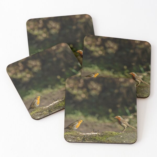 Item preview, Environmental portrait of two European Robins, Erithacus rubecula designed and sold by RobThorley.