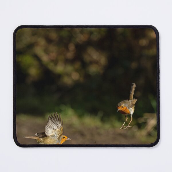 Item preview, Environmental portrait of two European Robins, Erithacus rubecula designed and sold by RobThorley.