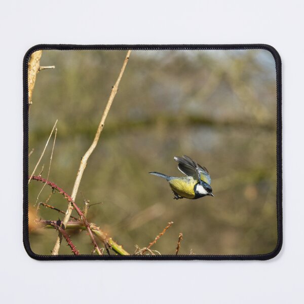 Item preview, Environmental portrait of a Great Tit in flight. designed and sold by RobThorley.