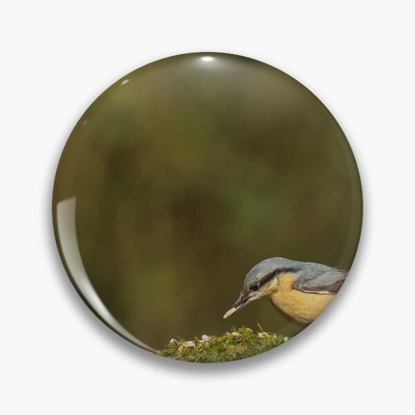 Item preview, Environmental portrait of a Eurasian Nuthatch designed and sold by RobThorley.
