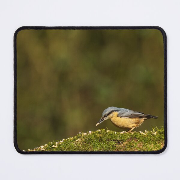 Item preview, Environmental portrait of a Eurasian Nuthatch designed and sold by RobThorley.