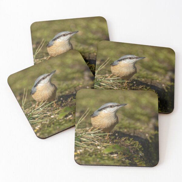 Item preview, Environmental portrait of a Eurasian Nuthatch designed and sold by RobThorley.