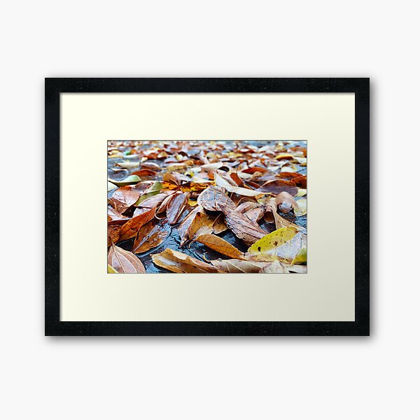 Item preview, Autumn Leaves In Rain designed and sold by Ashley Beckton.