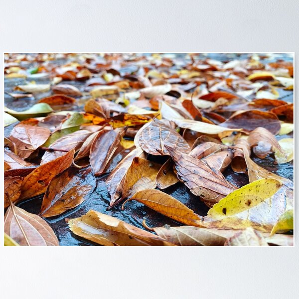 Item preview, Autumn Leaves In Rain designed and sold by Ashley Beckton.
