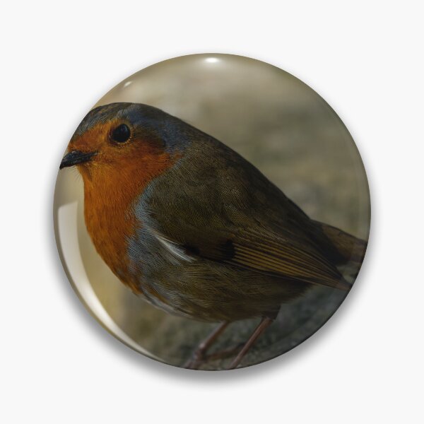 Item preview, Environmental portrait of a European Robin, Erithacus rubecula designed and sold by RobThorley.