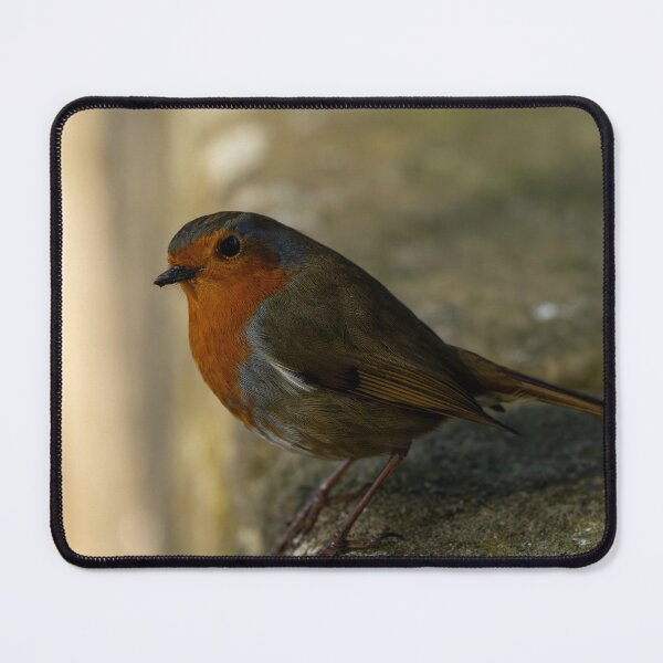 Item preview, Environmental portrait of a European Robin, Erithacus rubecula designed and sold by RobThorley.