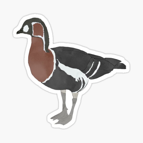 Item preview, Red breasted goose designed and sold by PuffyFeathers.