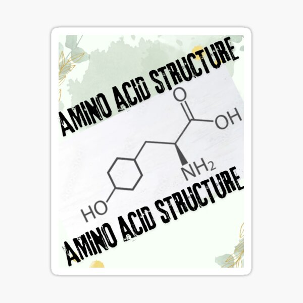 Item preview, AMINO ACID STRUCTURE designed and sold by Science 101.