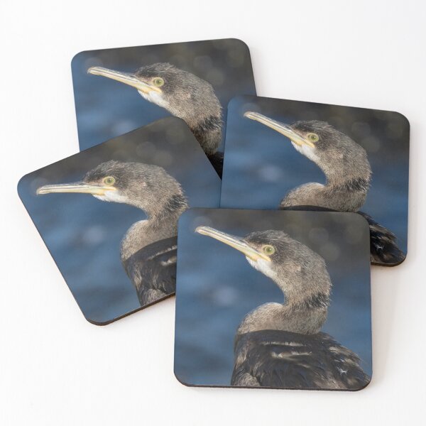Item preview, Shag designed and sold by LaurenTucker.