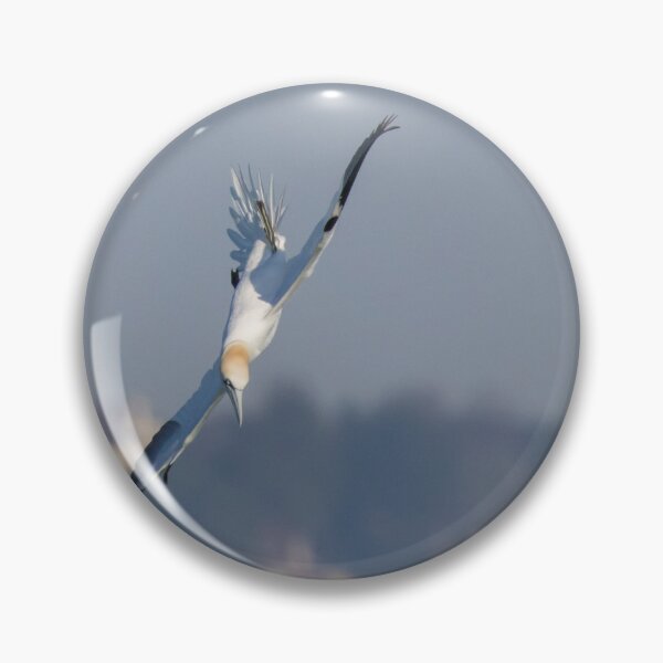Item preview, Gannet designed and sold by LaurenTucker.