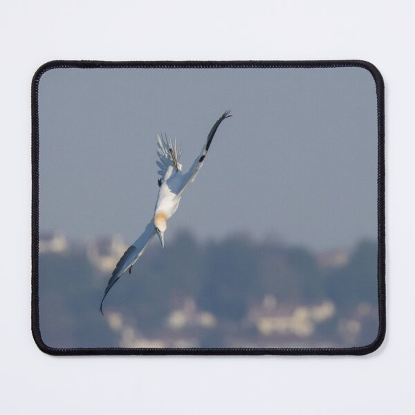 Item preview, Gannet designed and sold by LaurenTucker.