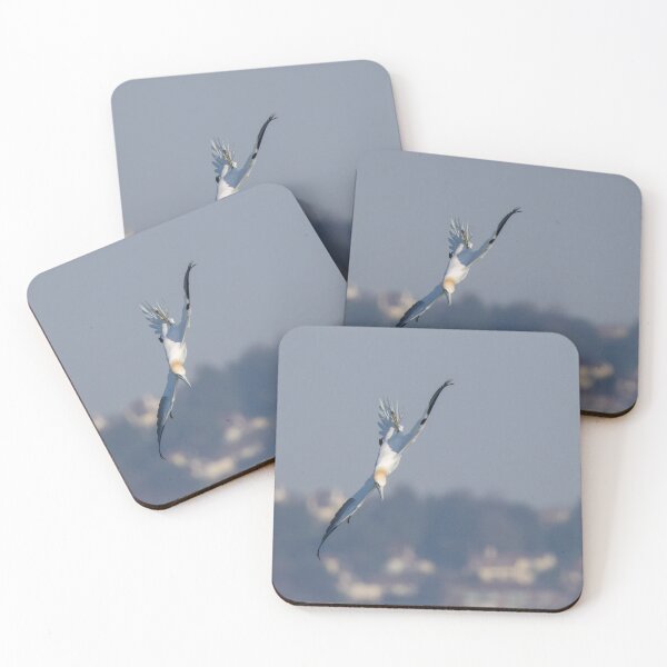 Item preview, Gannet designed and sold by LaurenTucker.