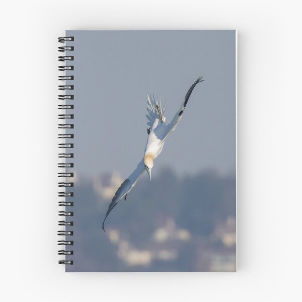 Item preview, Gannet designed and sold by LaurenTucker.