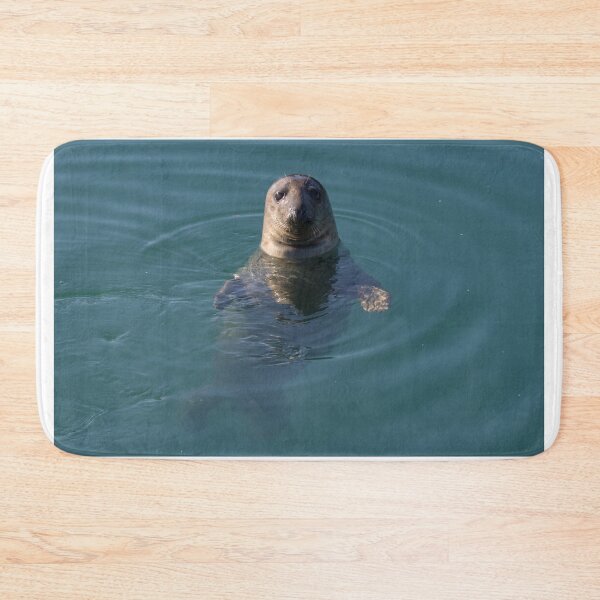 Item preview, Harbour Seal designed and sold by LaurenTucker.