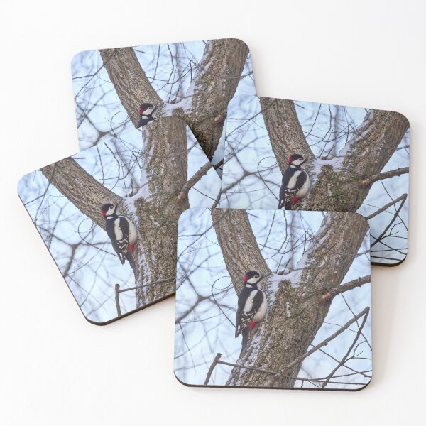Item preview, Y spot. Great spotted woodpecker designed and sold by Jouko Lehto Photography.