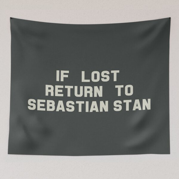 Artikelvorschau, If Lost Return to Sebastian Stan Tee entworfen und verkauft von deluluhaze.