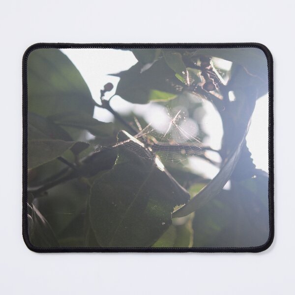 Vista previa del artículo con la obra «telaraña en un limonero», diseñado y vendido por LucyPhotoArt.
