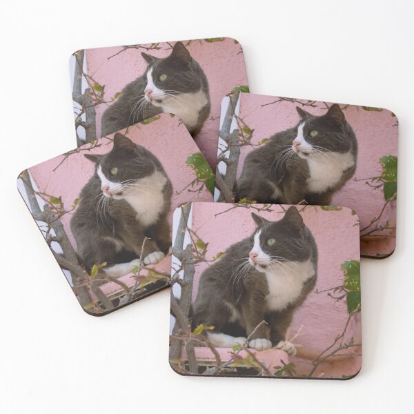 Item preview, The Watchful Stray: A Cat’s Hidden World designed and sold by Kyma Collective.