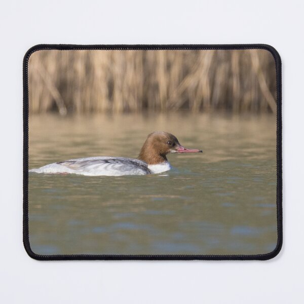 Item preview, Goosander designed and sold by LaurenTucker.