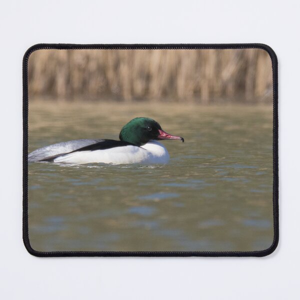 Item preview, Goosander designed and sold by LaurenTucker.