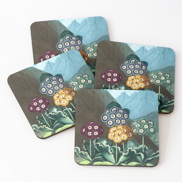 Item preview, Auricula FLowers Among Mountains 1800s Robert John Thornton designed and sold by RocketshipRetro.