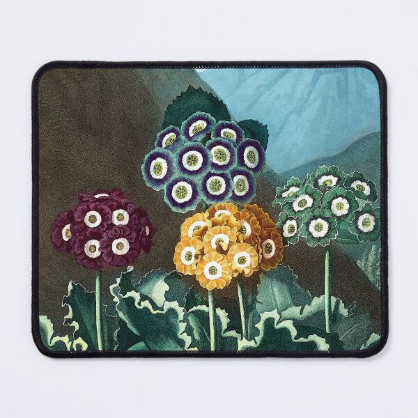 Item preview, Auricula FLowers Among Mountains 1800s Robert John Thornton designed and sold by RocketshipRetro.