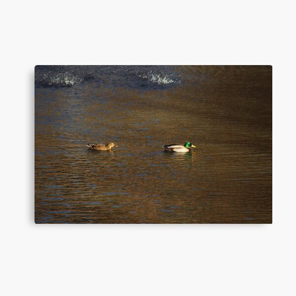Item preview, Say Quack designed and sold by Ostracaptures.