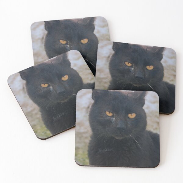 Item preview, The Shadowed Stray: A Cat’s Silent Tale designed and sold by Kyma Collective.
