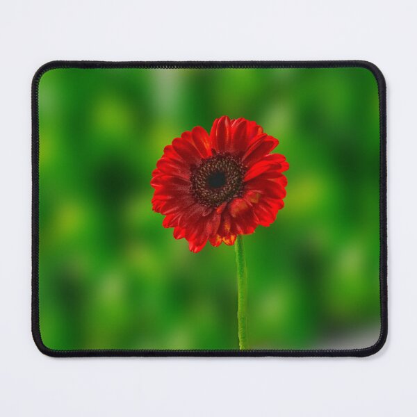 Item preview, Red Gerbera designed and sold by Alisonchambers2.