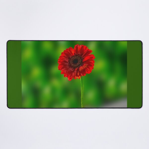Item preview, Red Gerbera designed and sold by Alisonchambers2.