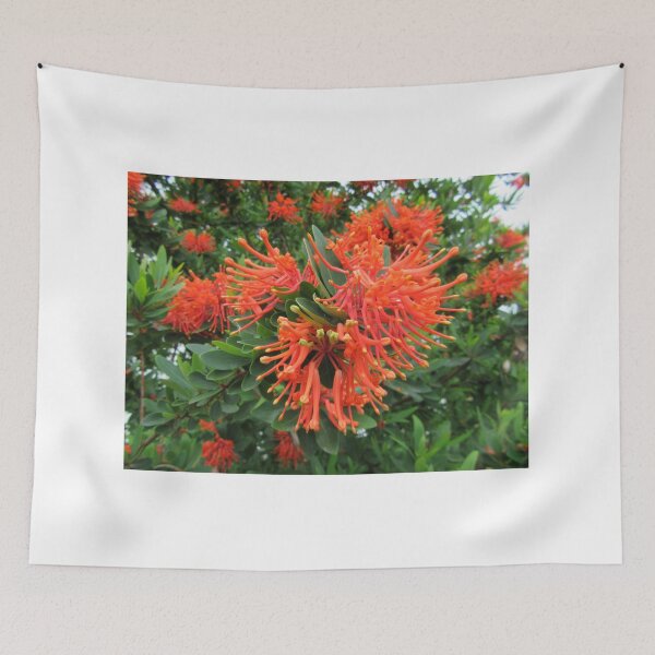 Item preview, Orange Flowering Tree (Embothrium) designed and sold by lezvee.